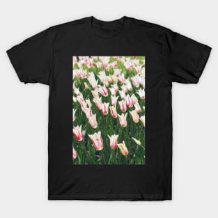 Tulips T-Shirt